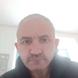 , 44,  