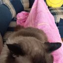 ���� �������, ���������, 51 ��� - ��������� 1 ������� 2025 � ������ ������ ��������