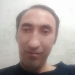 �������, �������, 42 ����