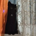 ���� �����, ����������� - ��������� 25 ������ 2025 � ������ ������ ��������