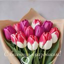 ���� ����������, �����, 63 ���� - ��������� 8 ����� 2026 � ������ ������ ��������