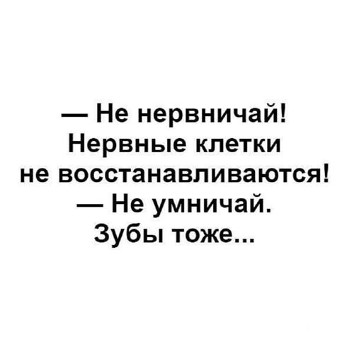  - 13  2024  10:52