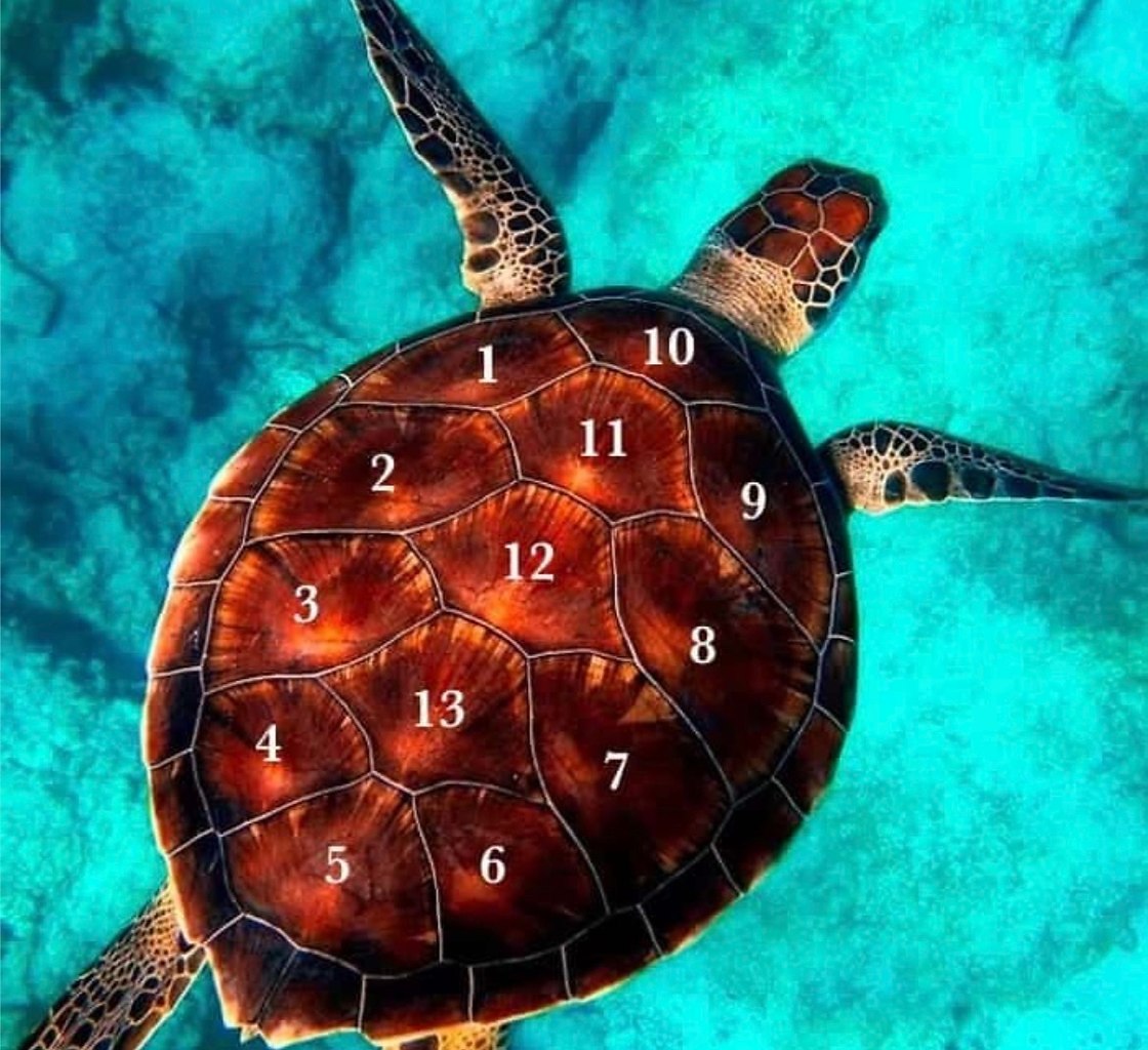 ��� ������� �������� ������ � ������ ���������? ���� �� ����������� ���������� �� ������� ��������, ...