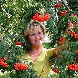 , 57, 
