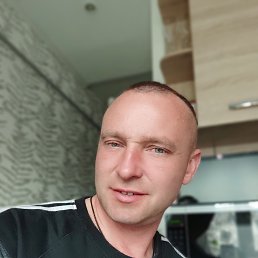 , 41, 