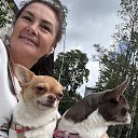 ���� �����, �����-���������, 59 ��� - ��������� 9 ������� 2025 � ������ ���� ����������