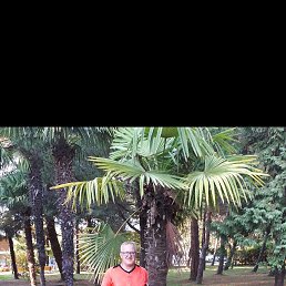 , 55 , 
