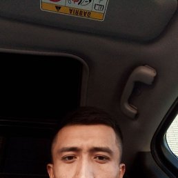 , 29, 