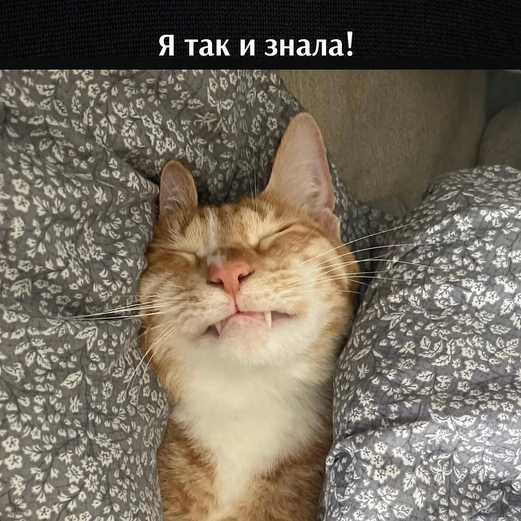 ��� ���� � ����� �� �� - 8 ���� 2026 � 11:25 - 3