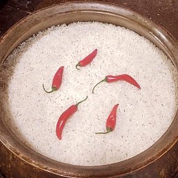 ����, �����������, 36 ���