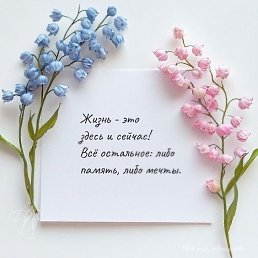 ���� ���, �����, 54 ���� - ��������� 7 ���� 2026