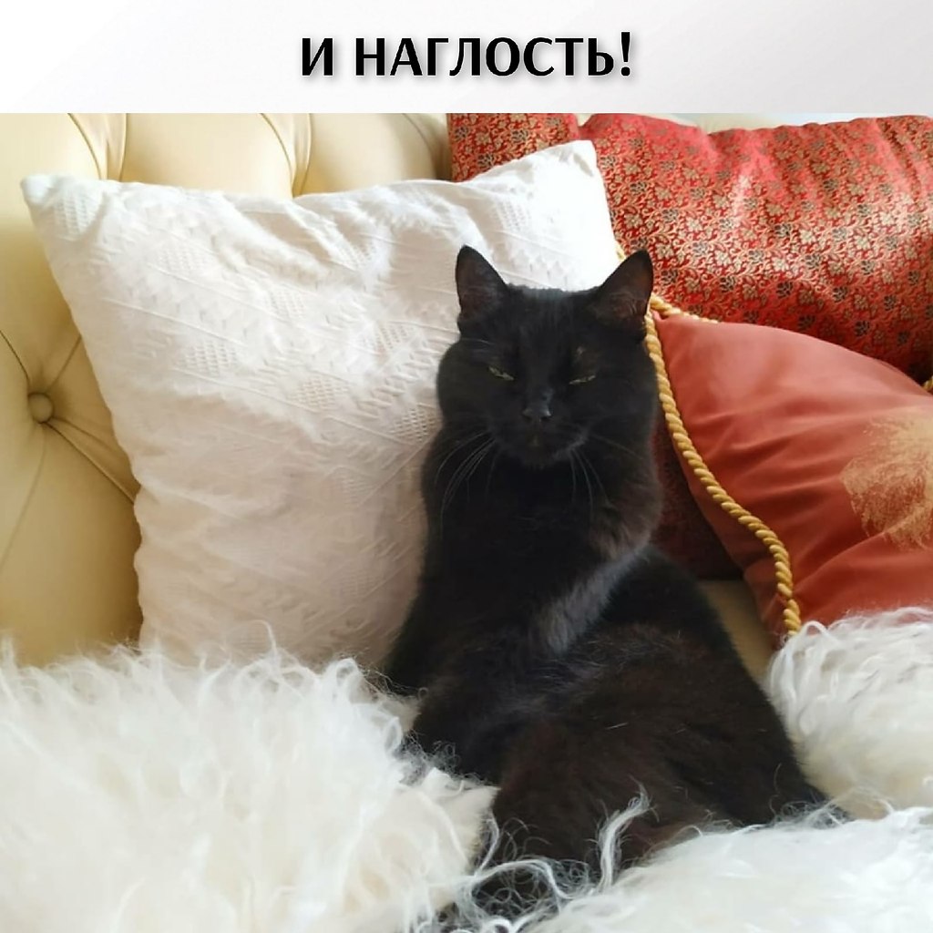 ��� ���� � ����� �� �� - 22 ������� 2026 � 17:30 - 4