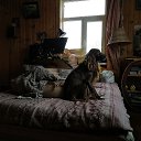 ���� Ѹ�� ������, ������, 72 ���� - ��������� 22 ������� 2023 � ������ ������ ��������