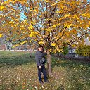 ���� �������, ������, 41 ��� - ��������� 19 ������� 2025 � ������ ���� ����������