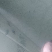 ������, 47 ���, ������