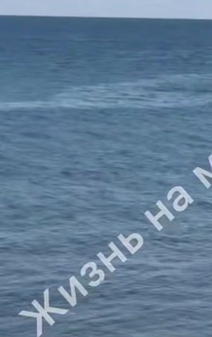 Смертельно опасный отдых. Мужчина приехал в Геленджик, чтобы насладиться последним летним месяцем на ... - 2