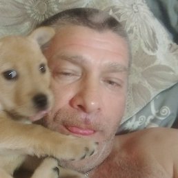 ������, ��������, 45 ���