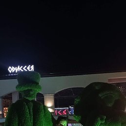 ��������, ���������, 27 ���