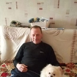 , 52, 