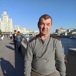 ���� ������, ����, 64 ���� - ��������� 14 ������ 2024