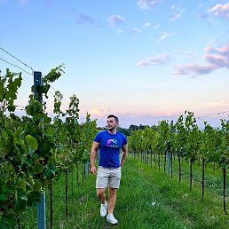 �������, �����������, 38 ���