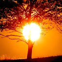 ���� Bob, �����, 64 ���� - ��������� 22 ������� 2024 � ������ ���� ����������