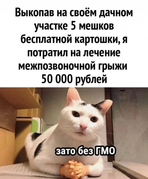  - 13  2024  19:47