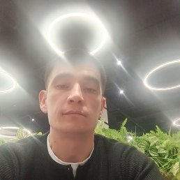 , 33, , - 
