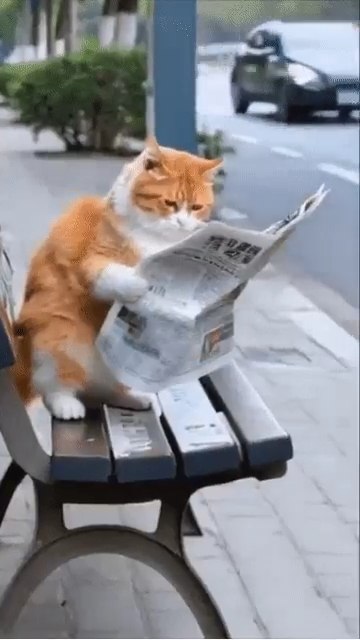   !