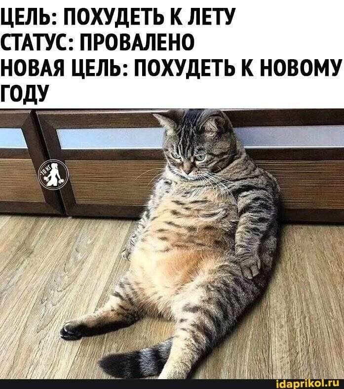 ��� ���� - 1 ���� 2026 � 17:54