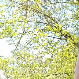 ��������, ������, 43 ����