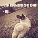 ���� �����, �����, 52 ���� - ��������� 25 ������ 2026 � ������ ���� ����������