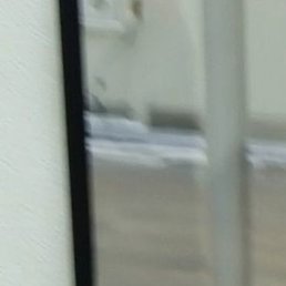 ����, ������, 40 ���