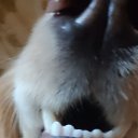 ���� ��� ���, ���������, 20 ��� - ��������� 27 ������ 2026 � ������ ���� ����������