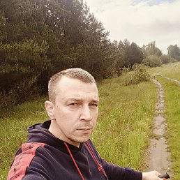 , 41, 