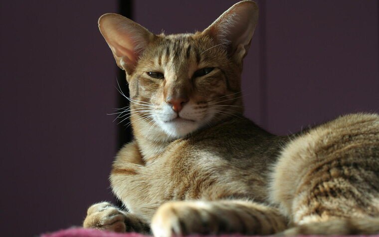 .  .   .       -   .  ...