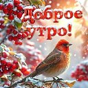 ���� ����, �������-�����, 53 ���� - ��������� 29 ������� 2025 � ������ ���� ����������