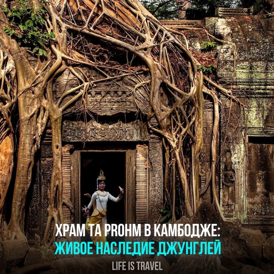    ,    ,    Ta Prohm  .  ...