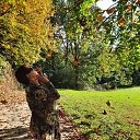 ���� ��������, ������� - ��������� 27 ������� 2024 � ������ ������ ��������