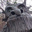 ��������� ���� �� ������� ���� ����������