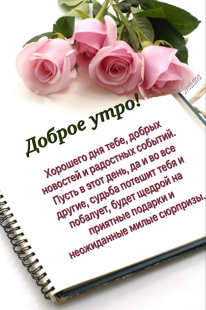   ! - 13  2024  06:40