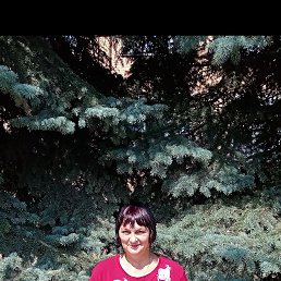 ���� ������, ������, 61 ��� - ��������� 2 ����� 2024