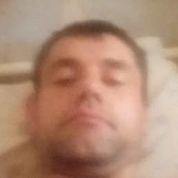 �����, ������, 41 ���