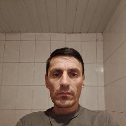 , 41 , 