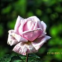 ���� ������, ��������� - ��������� 17 ������� 2025 � ������ ������ �� �����