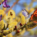 ���� �����, �������, 54 ���� - ��������� 14 ������ 2026 � ������ ������ ��������