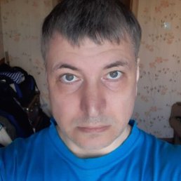 �����, ������, 49 ���