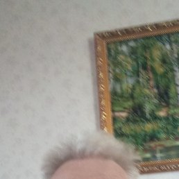 , 61, 