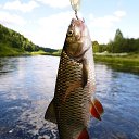 ���� ���, �����-���������, 40 ��� - ��������� 23 ����� 2024