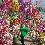 �������, 41 ���, �������